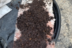 engine-units-are-at-Charleston- sludge from fuel tank